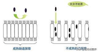 以前吃海鲜没事今年突然过敏了痒,以前吃海鲜过敏突然不过敏了