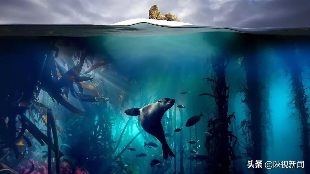 收藏小孩的动画片,收藏这6部儿童动画片宝宝更聪明