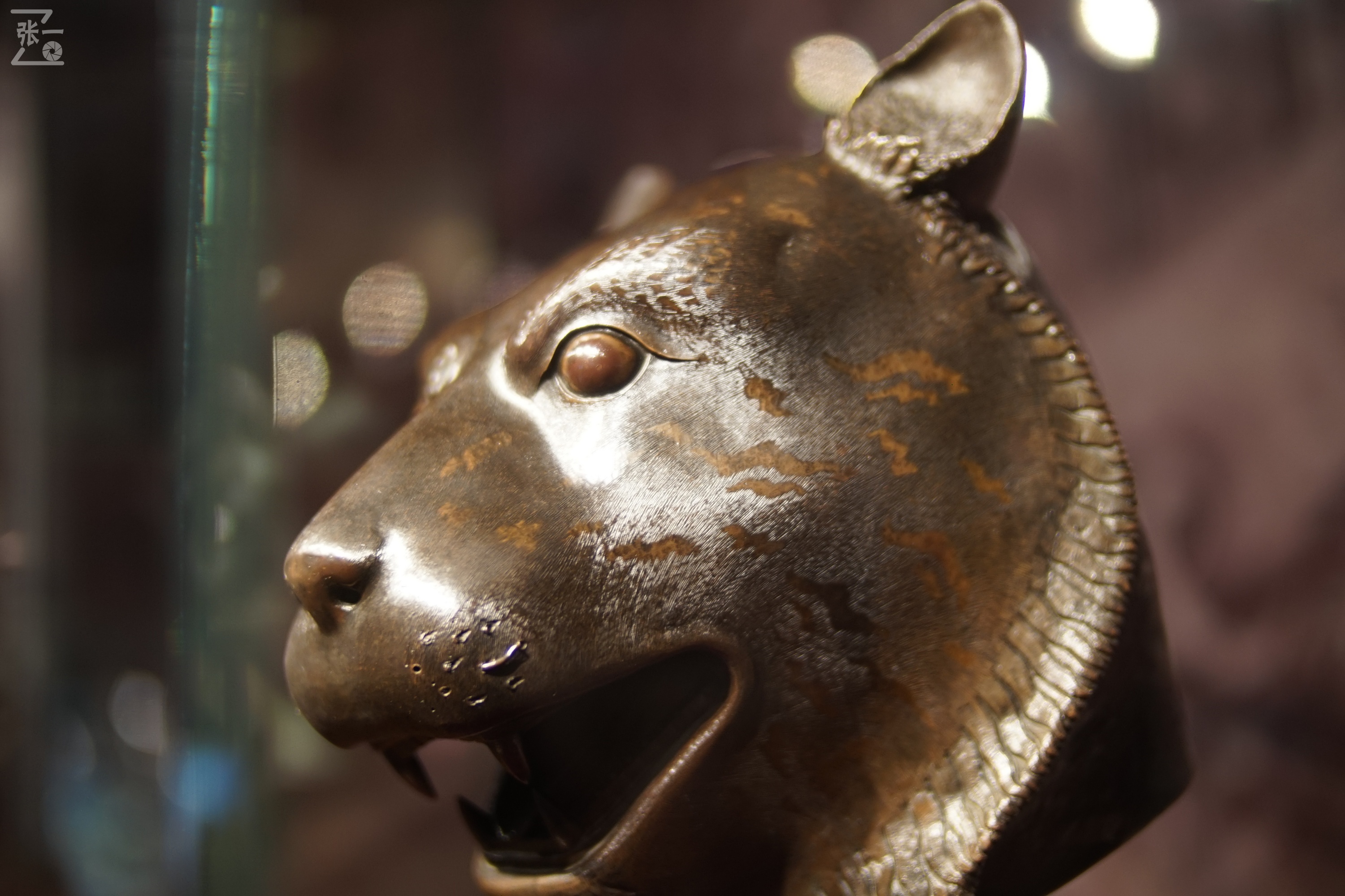 中国产微单,24-135镜头索尼