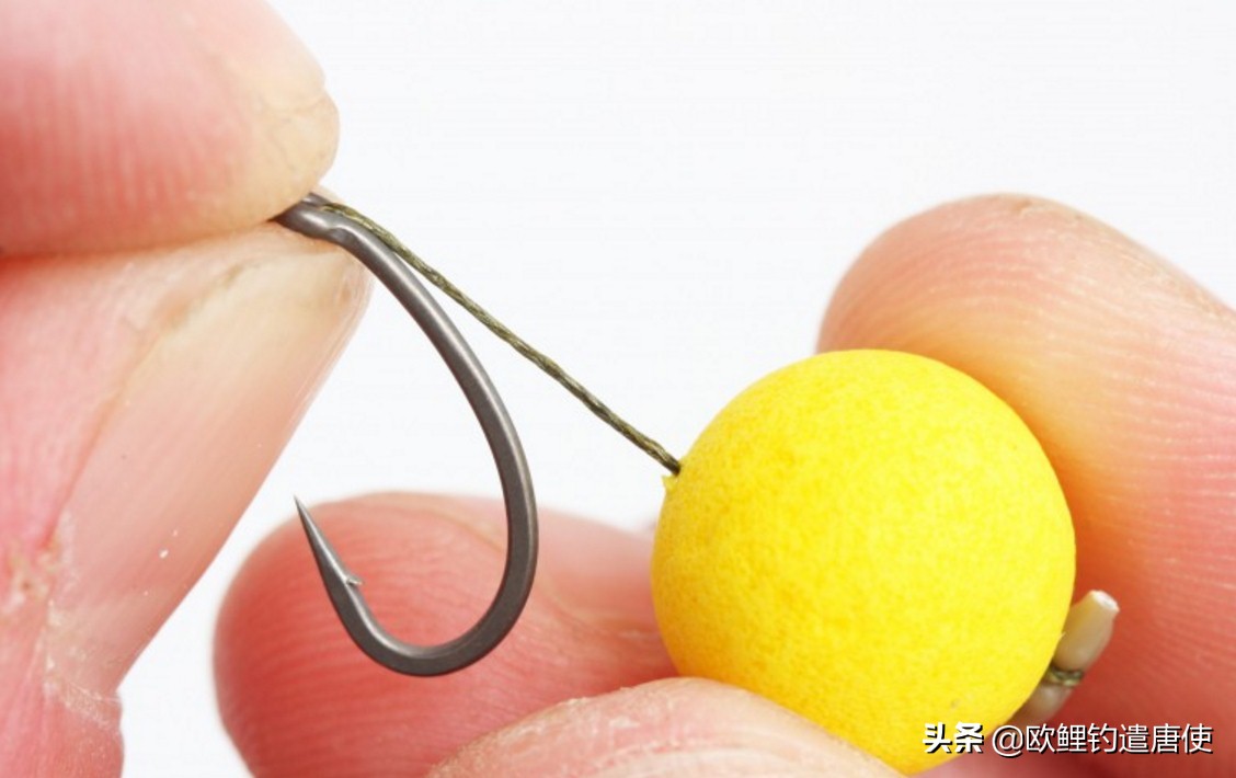 话说欧鲤钓组全集,欧鲤钓组可以钓哪些鱼