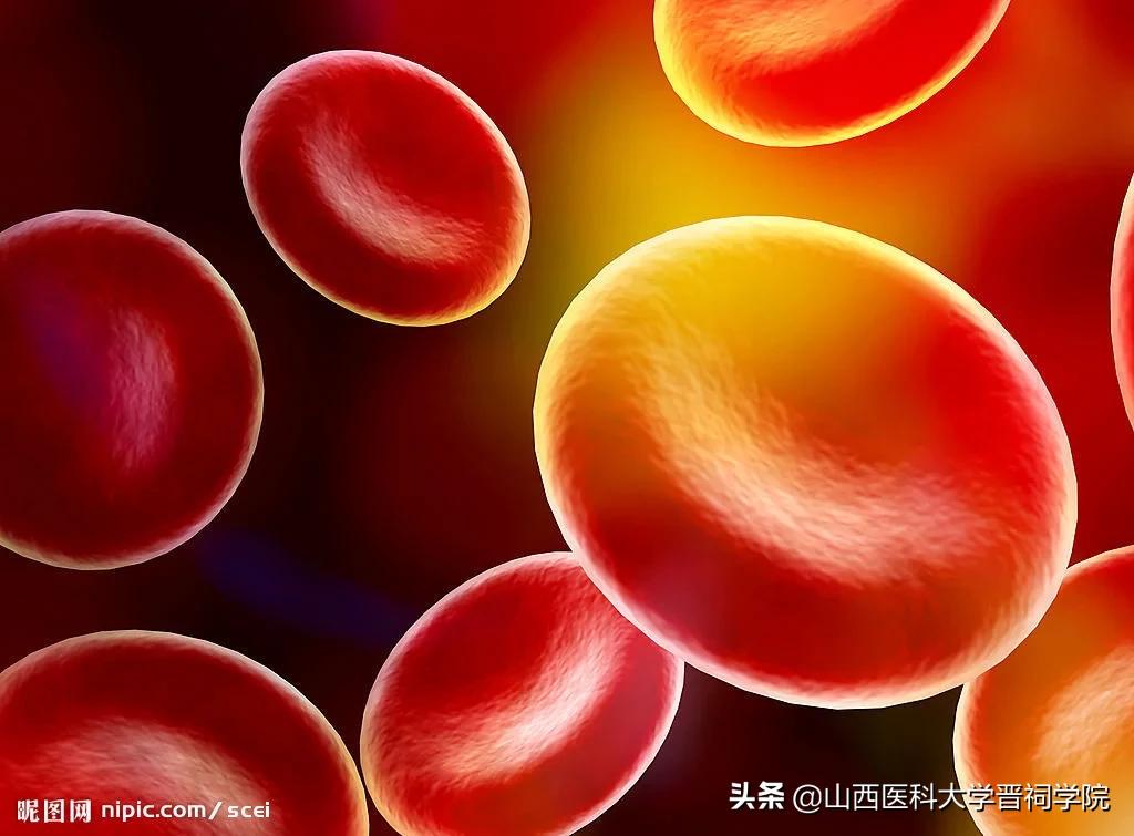 医学生土味情话攻略,医学生土味情话视频