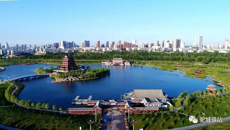 榆林牡丹园,榆林千年牡丹园