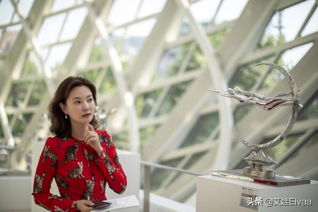 刘芳菲最迷人的照片,央视女主持刘芳菲图片