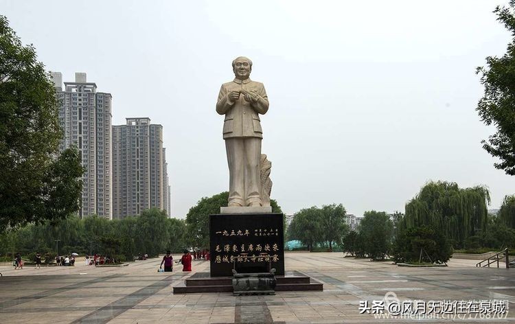 济南的法国梧桐,济南梧桐树美景