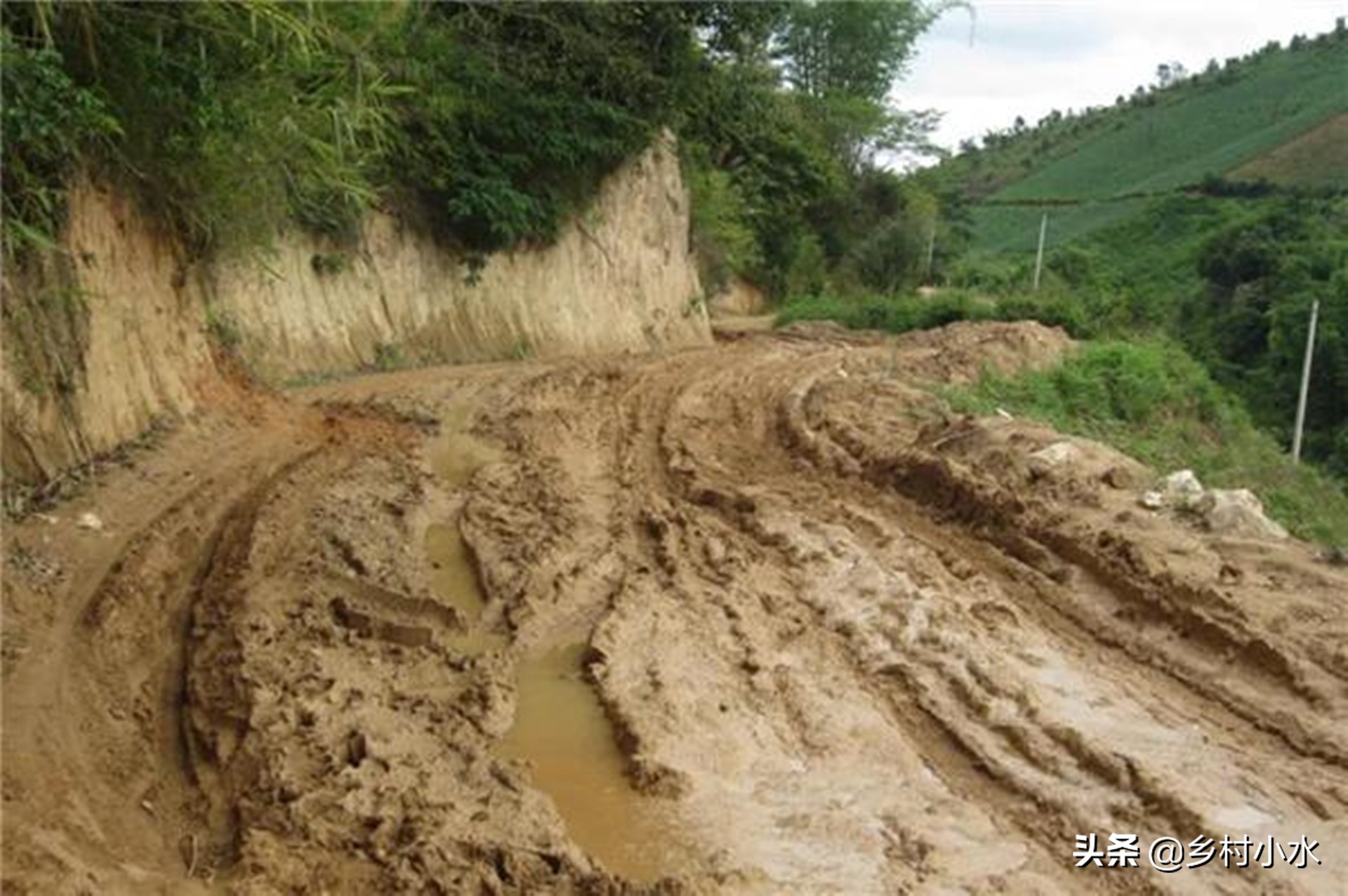 包山头养殖要多少钱,包山头养殖前景怎么样
