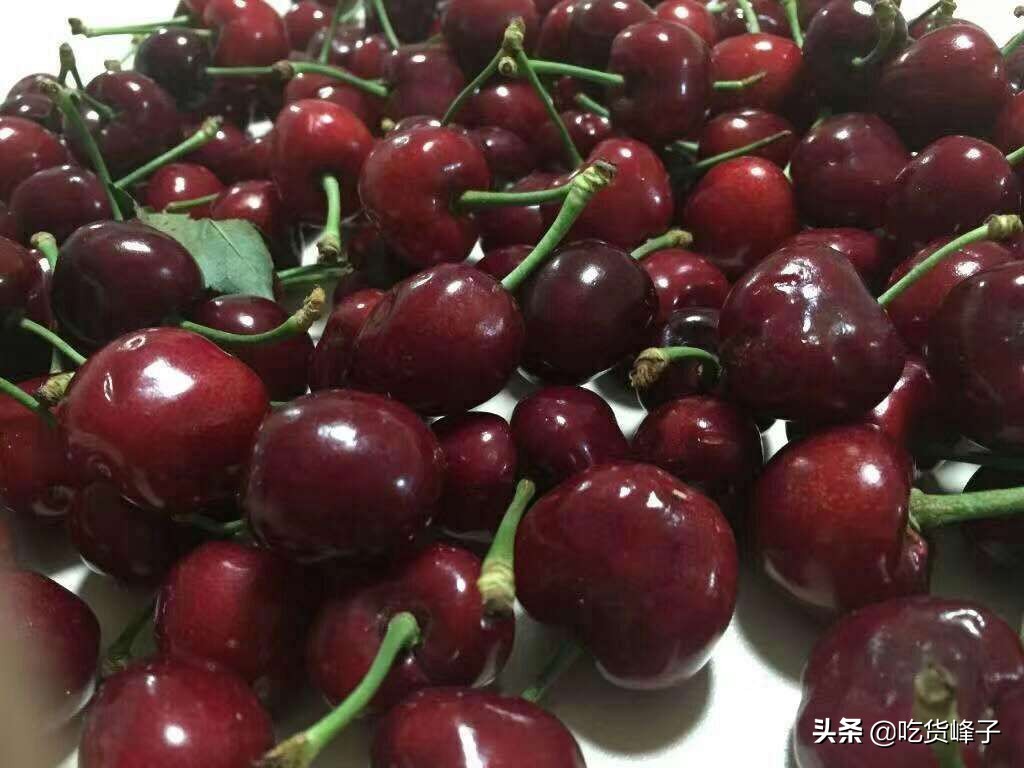 车厘子与大樱桃的区别,爱吃樱桃车厘子