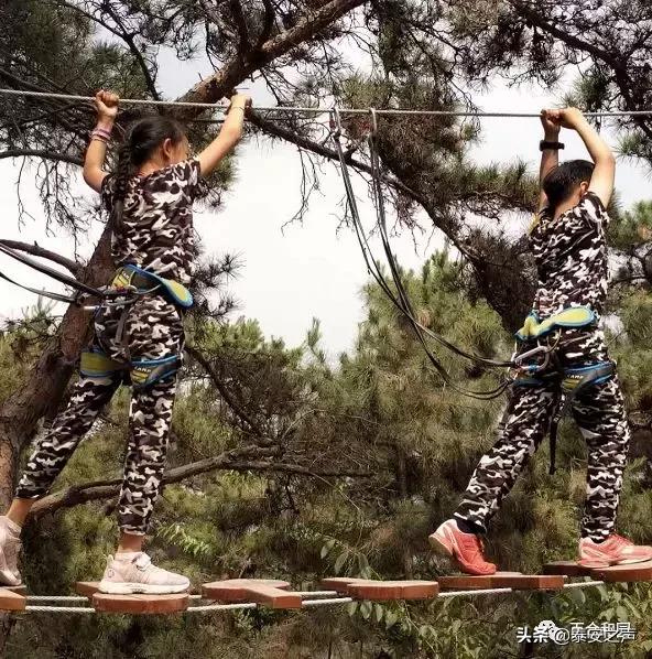 泰山百合和园简介,泰山百合和园