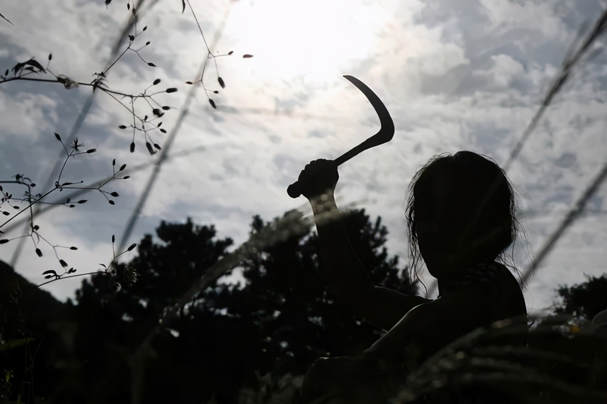 韩国最新犯罪片排行榜第一名,十大必看韩国悬疑犯罪片