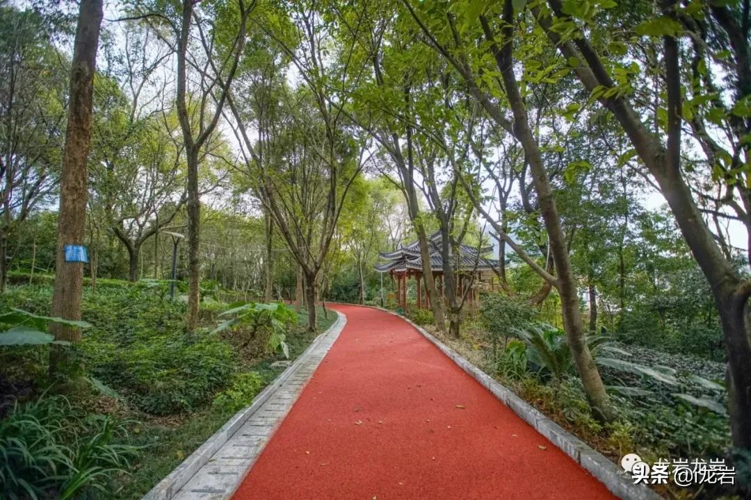 龙岩清凉避暑好去处,龙岩拍照有氛围感的地方