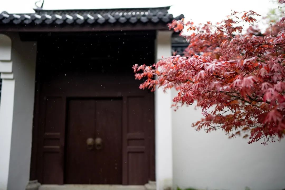 绍兴师爷解说全集,绍兴师爷一共几集