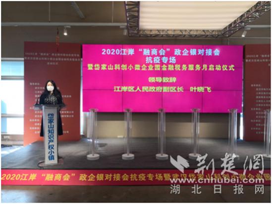 2020年江岸区融商会助力*合六**天地（武汉）环境有限公司