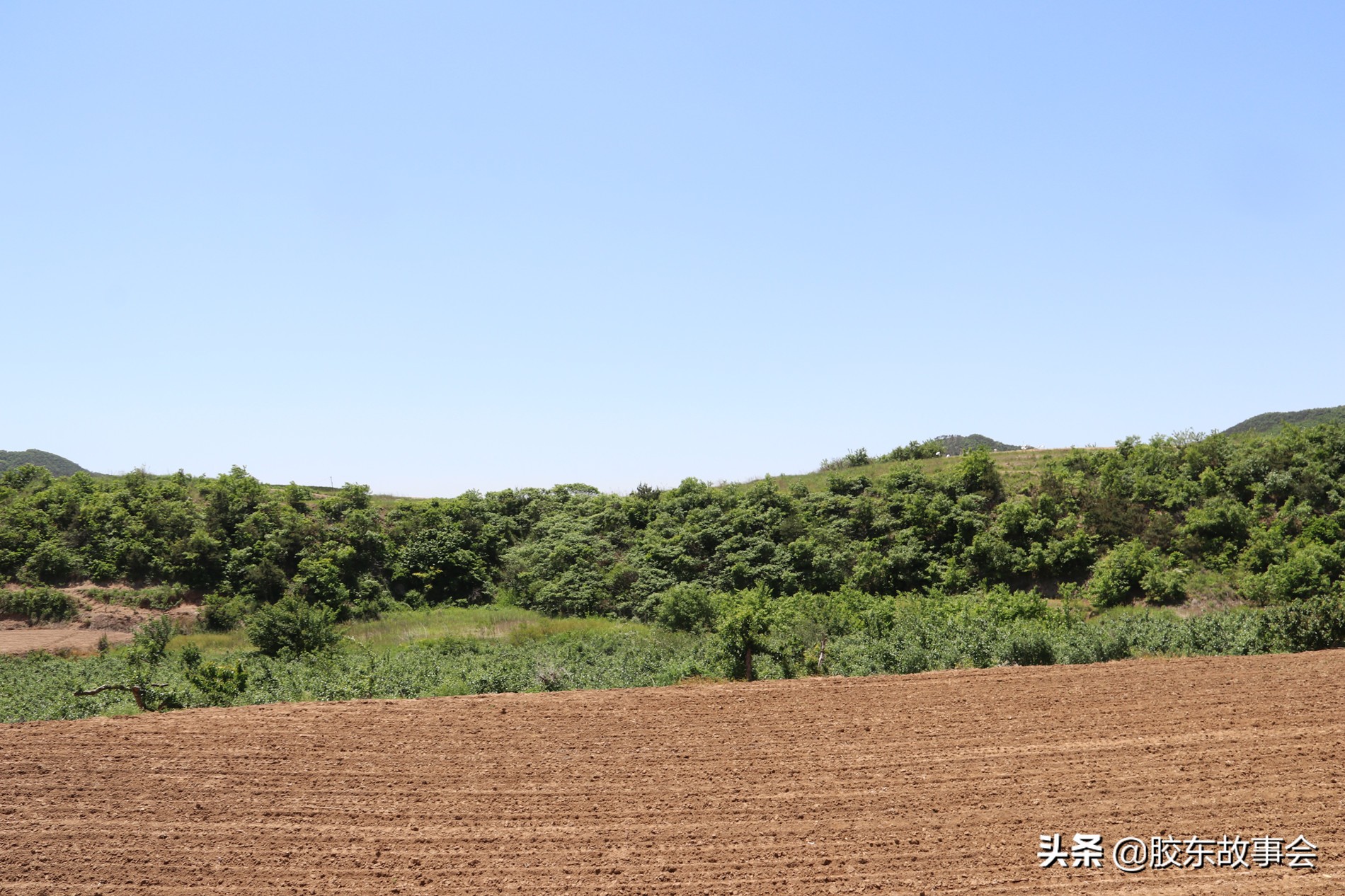 威海的文登区,山东省文登都有哪几个村