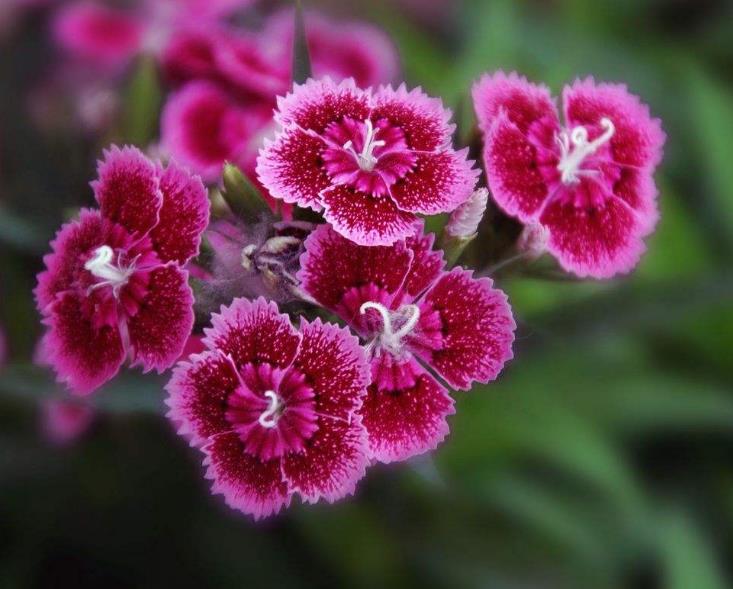 家庭不祥的四种信号,一个家庭一旦出现这3个征兆