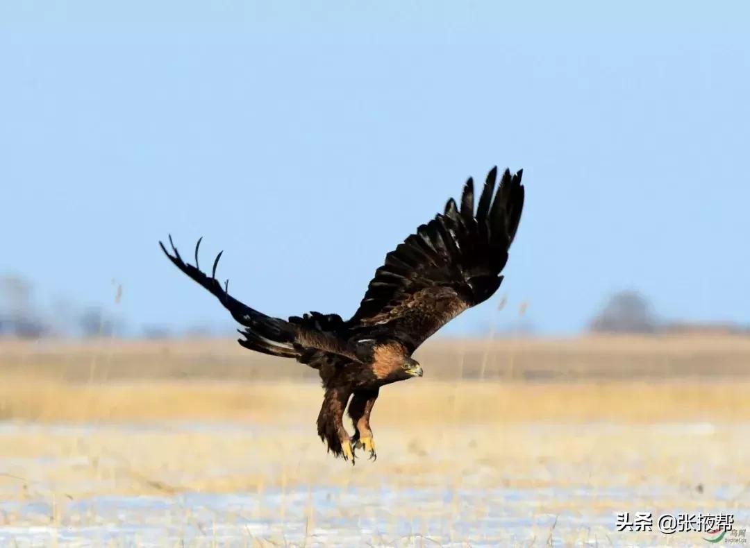 张掖的由来,什么是张掖