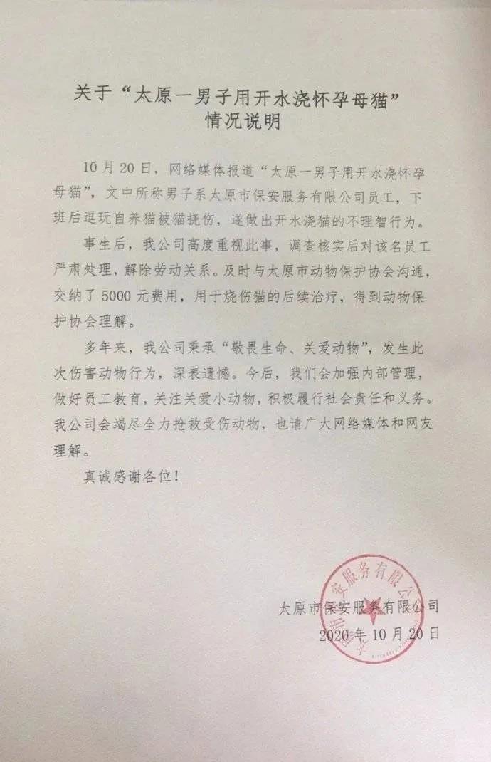 连踹四脚男子街头踢死小猫,男子虐待猫咪被学生暴打