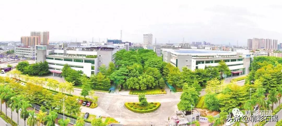 广东石碣镇有哪些开发区,东莞石碣大型产业园