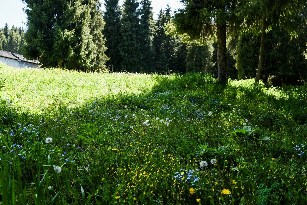 你永远不会体会到*疆新**公路的风情万种,除非你亲自自驾到那里!