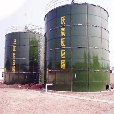 一人一年就产生近300斤粪便,全球70亿人的屎都去哪儿了?