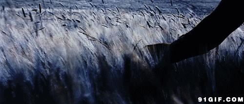 300个出自诗经的好成语,诗经100个经典成语