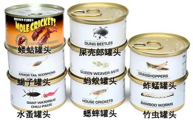 外国人谈中国人不吃罐头,当老外得知中国人不喜欢吃罐头