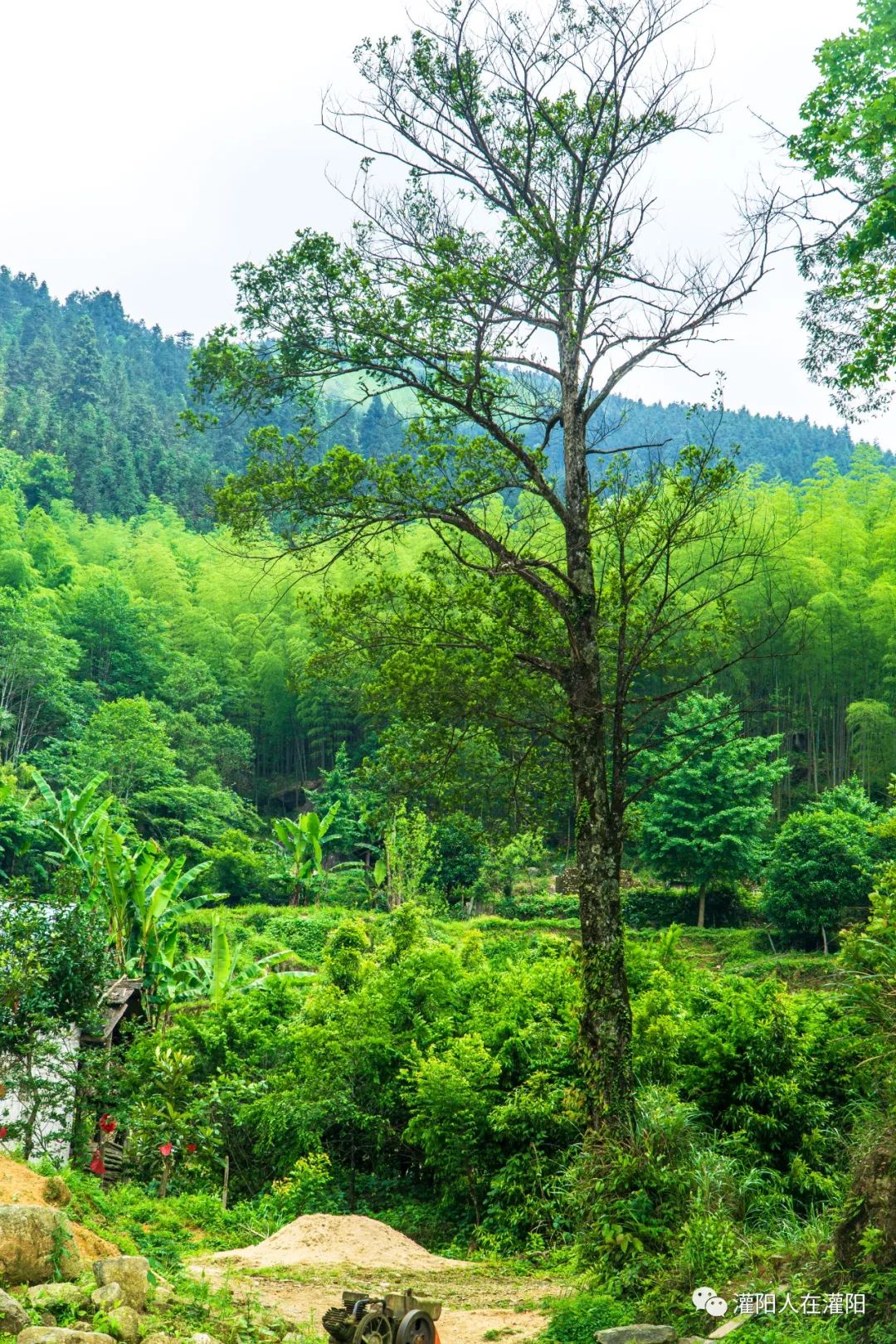 山上有个很大的石碑,桂林灌阳大石头