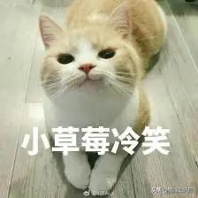 猫粮加营养膏营养够吗,好吃又不贵的猫粮营养膏