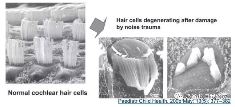 孩子学音乐不开心,孩子学音乐学不好怎么办