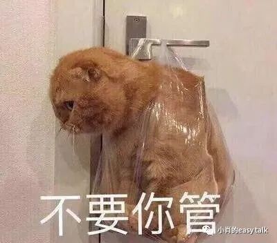 盘点奢品圈里的小欢乐（二）-衣食父母篇