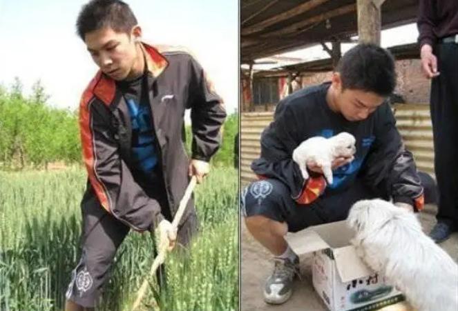 国乒绰号的由来：獒龙蟒、大小胖、大头、小枣、林妹妹…