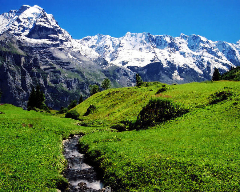 欧洲哪个品牌奶粉销量最好,国外的奶粉是不是真的比较好