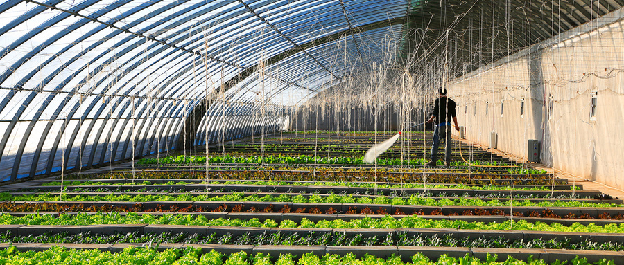 野外遇到恶劣天气如何处置,天气恶劣的应急处理措施