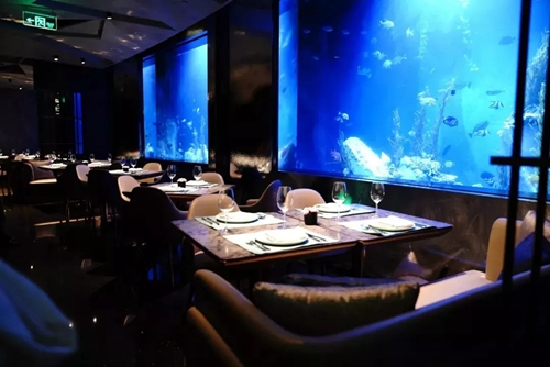 上海深坑酒店水下景观套房,深坑酒店洲际超豪华房水下景观