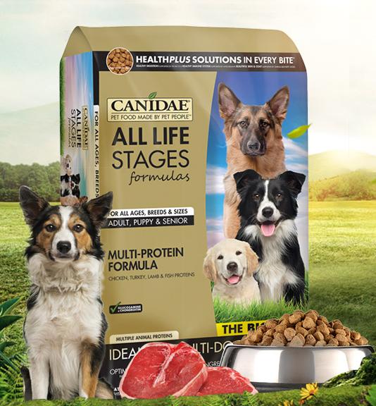 狗粮推荐狗粮到底怎么选干货分享,6款狗粮测评哪款才是好粮