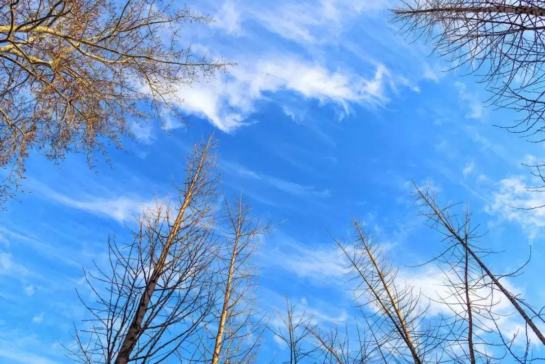 6℃！雨夹雪在路上！天冷早起醒来第一件事不是穿衣！而是……唐山人速看！