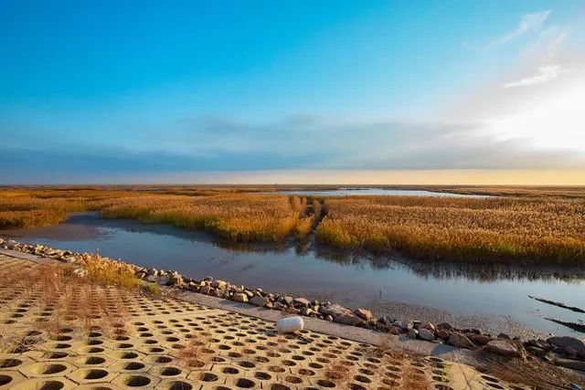 崇明度假酒店推荐,崇明凯悦亲子游攻略