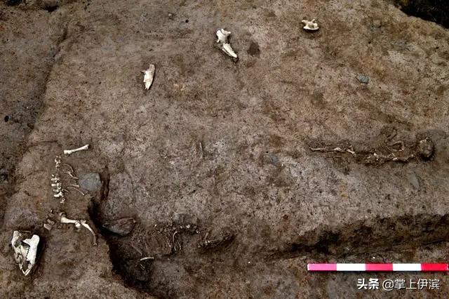 偃师最值得去的地方,偃师最著名的地方