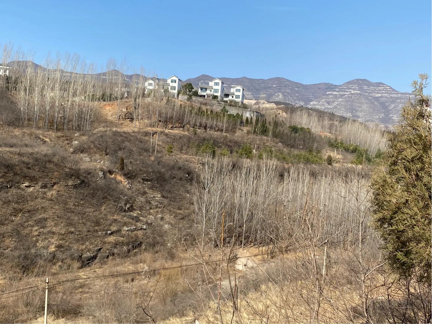 龙泉山庄春节,2022春节龙泉山庄好玩吗