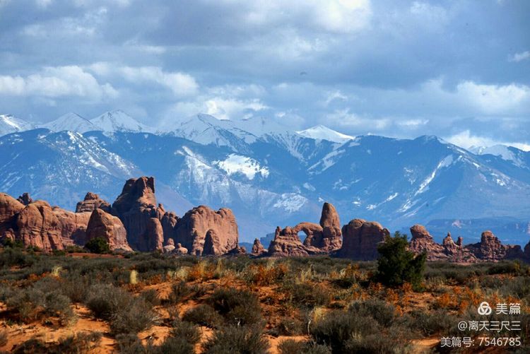 鍖楃編鏋儏闃虫柊,鍖楃編鏋儏鍥剧墖