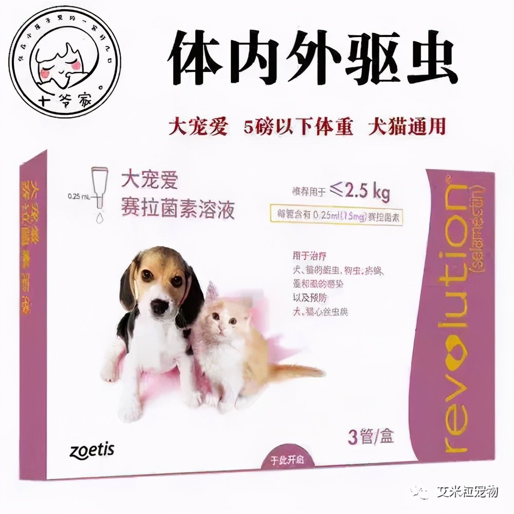 猫咪内驱虫的正确方法,狗狗驱虫和猫咪驱虫