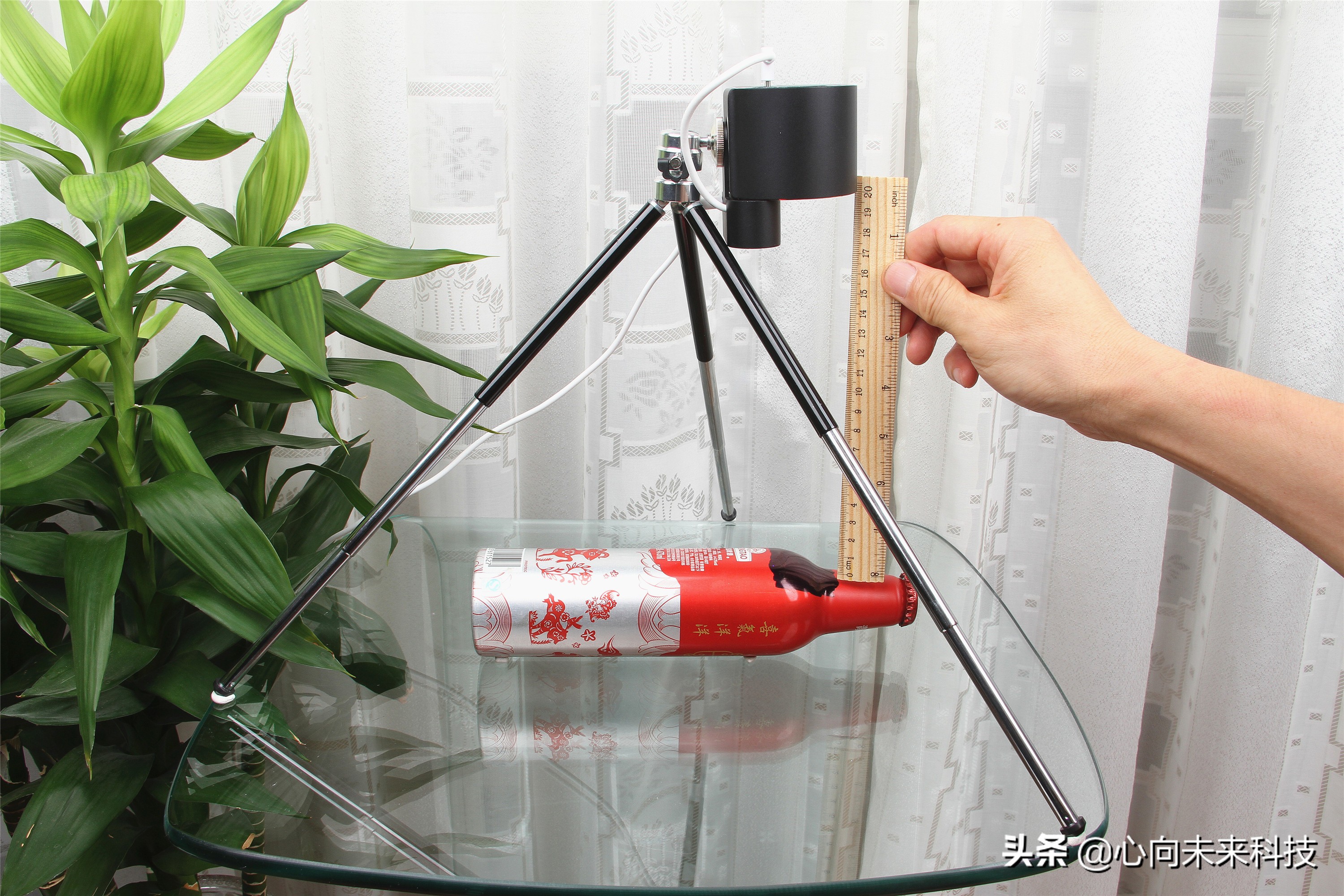 啄木鸟镭雕,啄木鸟激光雕刻机雕树叶