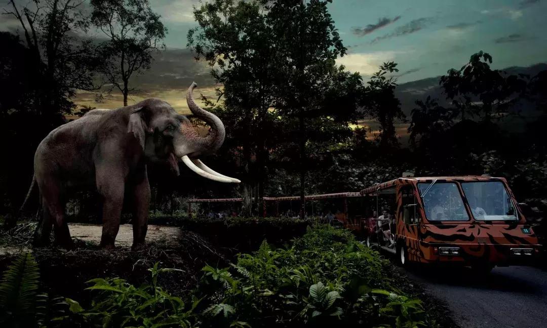 新加坡遛娃最佳地点,新加坡遛娃的好去处