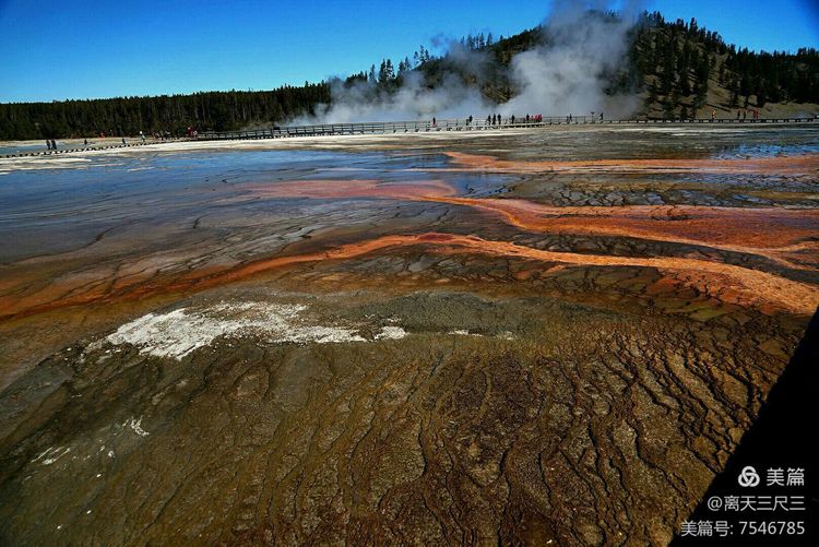 鍖楃編鏋儏闃虫柊,鍖楃編鏋儏鍥剧墖