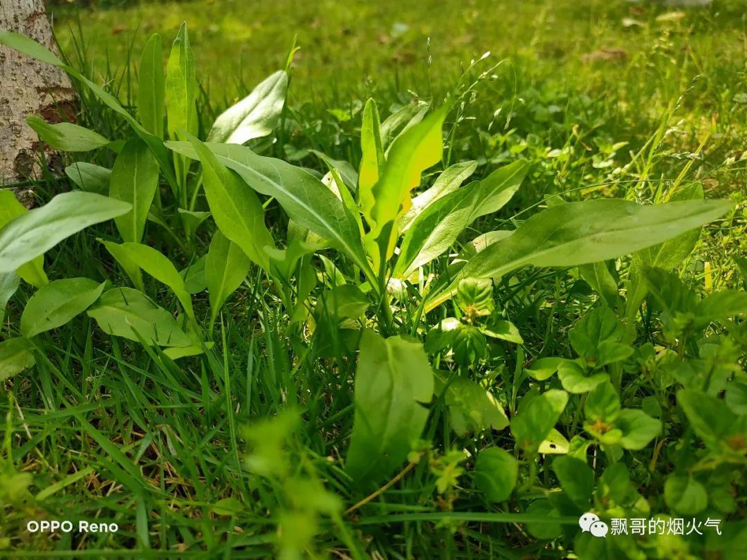 七个多月宝宝补锌辅食,孩子添加辅食步骤