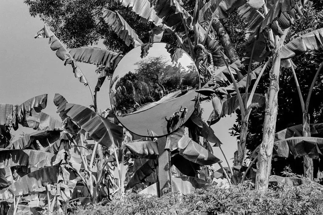 自学成才的摄影师——DavidHurn