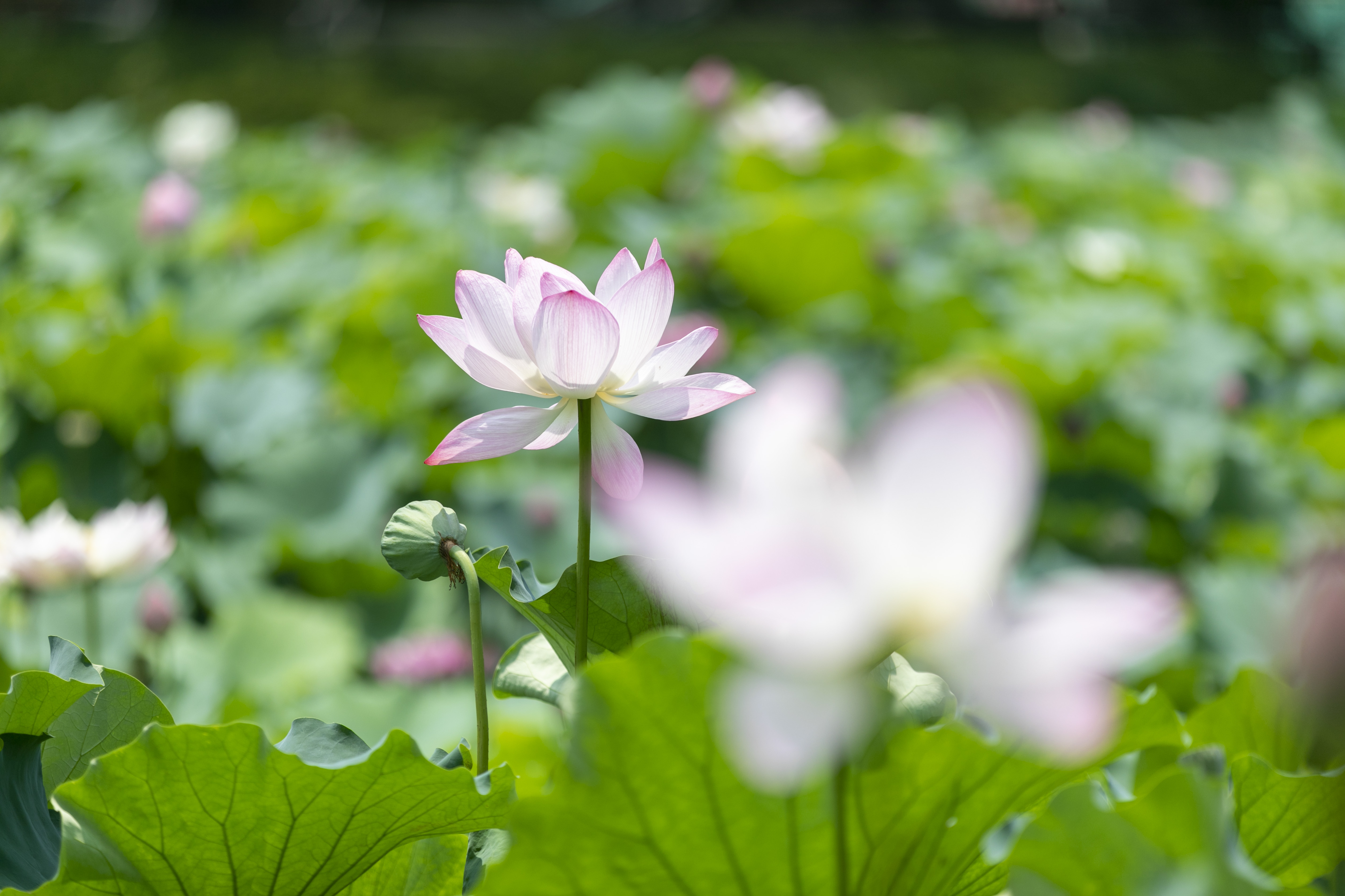 无锡水浒城旅游攻略一日游推荐,无锡三国水浒城旅游攻略