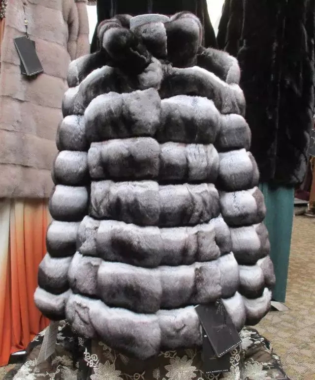 龙猫的亲人视频,龙猫的亲戚