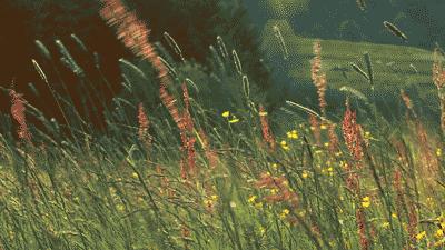 测你灵魂是什么样子,测试你灵魂干净吗