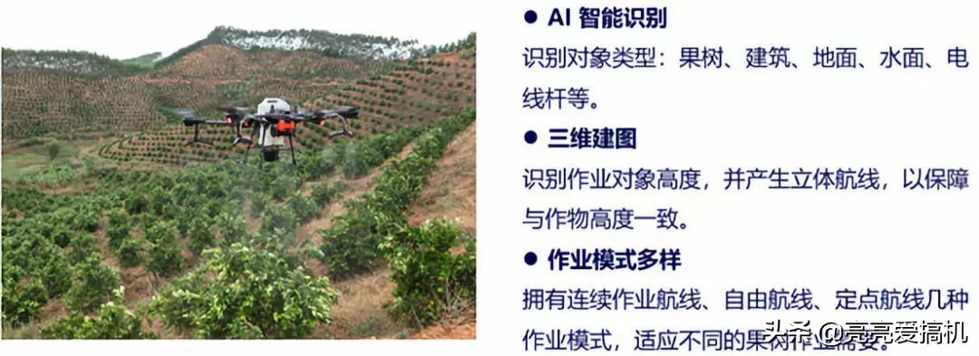 大疆t20植保无人飞机实操,大疆t20p无人植保机新手教程