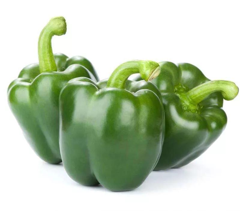 最近山东青州蔬菜市场行情 (青州蔬菜批发市场最新价格表)