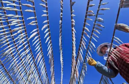 浙江宁波小众景点,浙江省宁波市黄金海岸